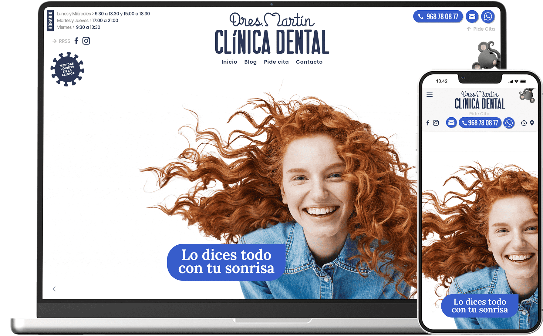 mockup-dresmartin-web